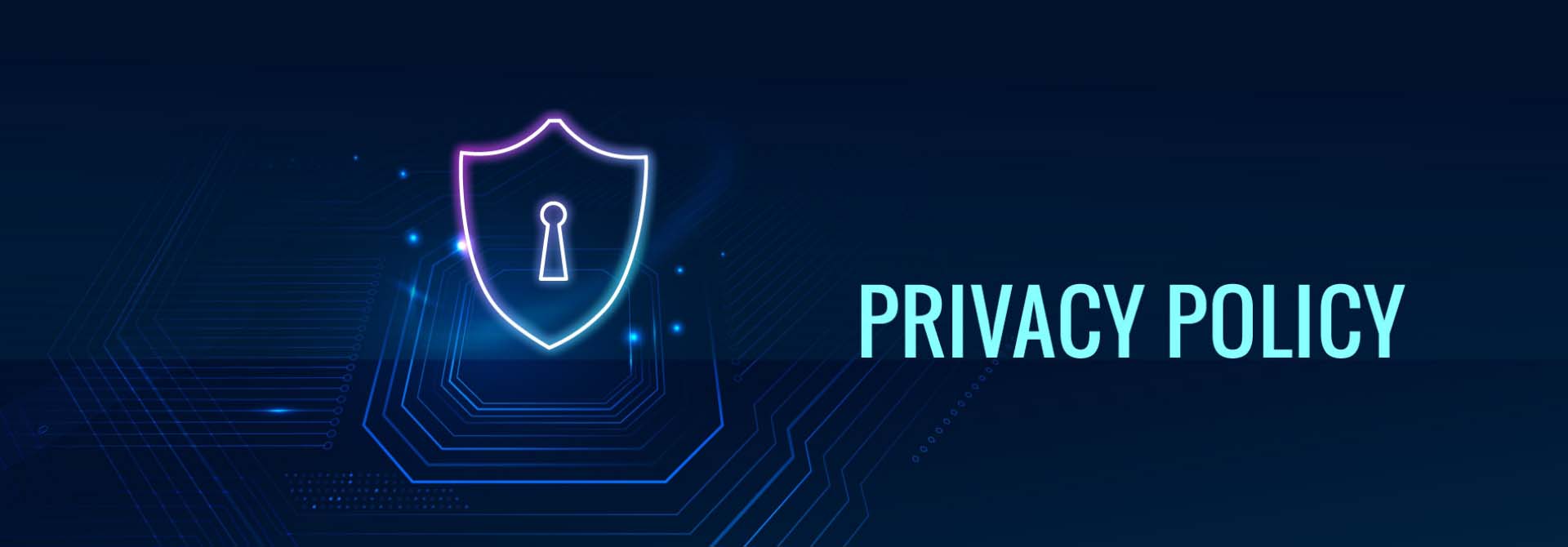 Privacy Policy - DLIFE Home Interior