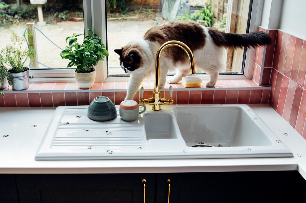 Sink with drainboard